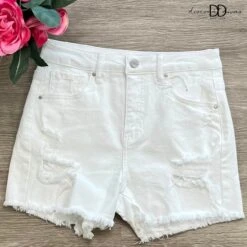 The Question Shorts | S - 3X *Final Sale*